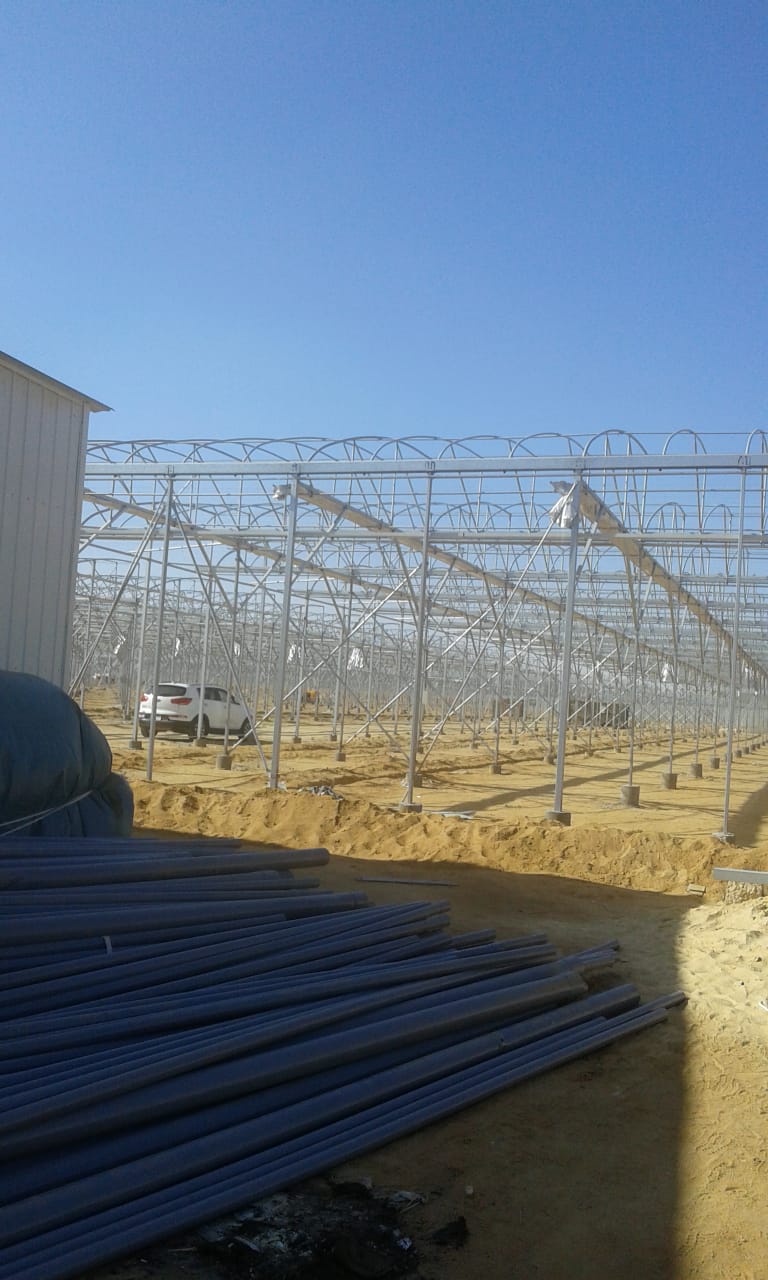 whatsapp image 2025 10 18 at 13.23.06 d7967fe1